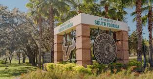 University of South Florida